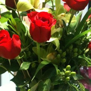 Meet your Posher, Michelle